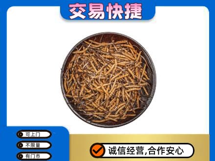 六安市高价回收散虫草